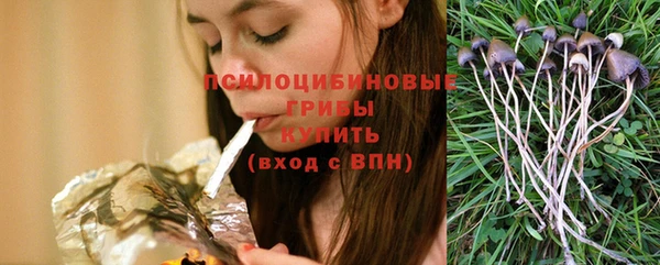 спиды Володарск
